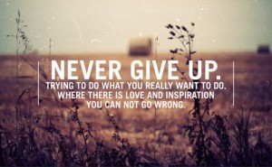 Never-give-up.-Trying-to-do-what-you-really-want-to-do.-Where-there-is-love-and-inspiration-you-can-not-go-wrong