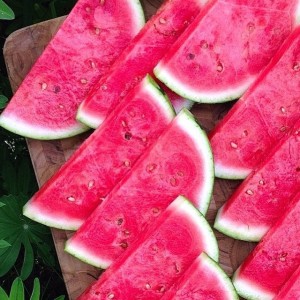 watermelon